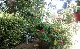 Firefly Beach Cottages